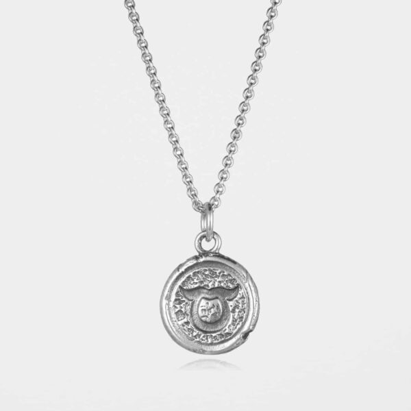 Taurus Star Sign Necklace Silver